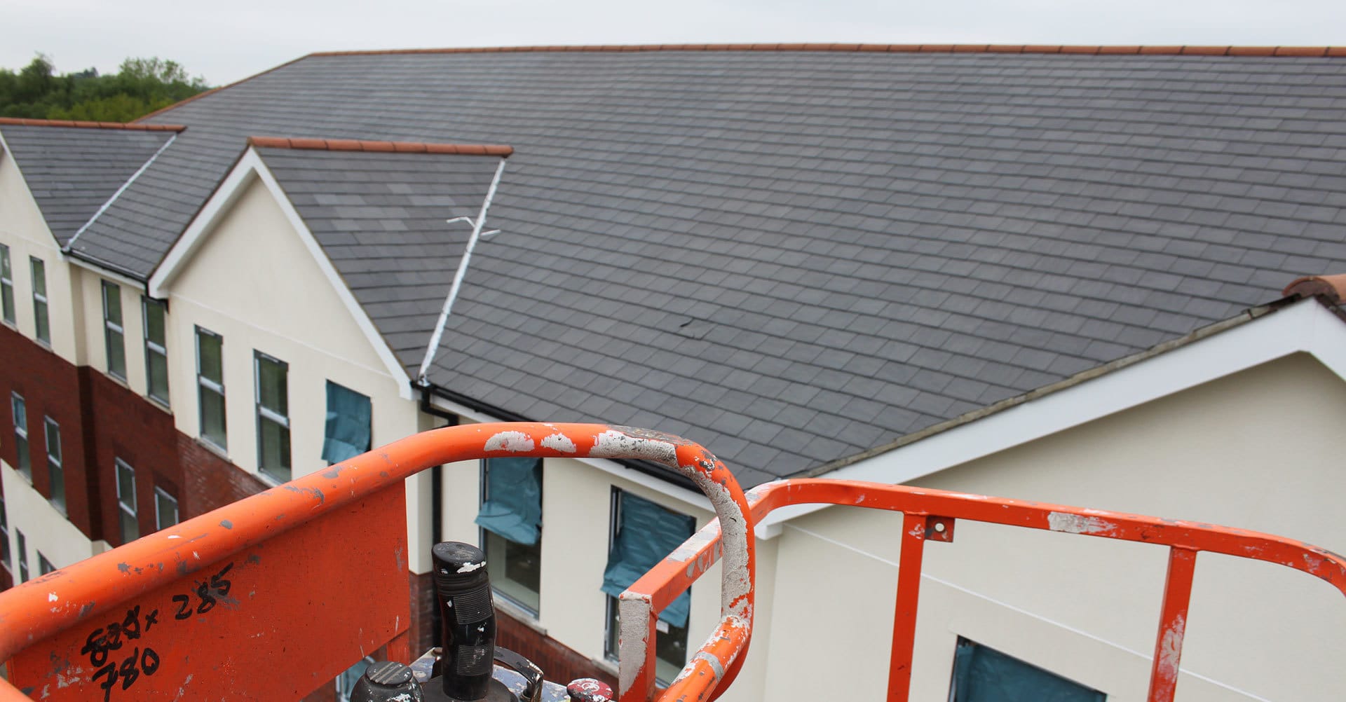 Roof Cleaning